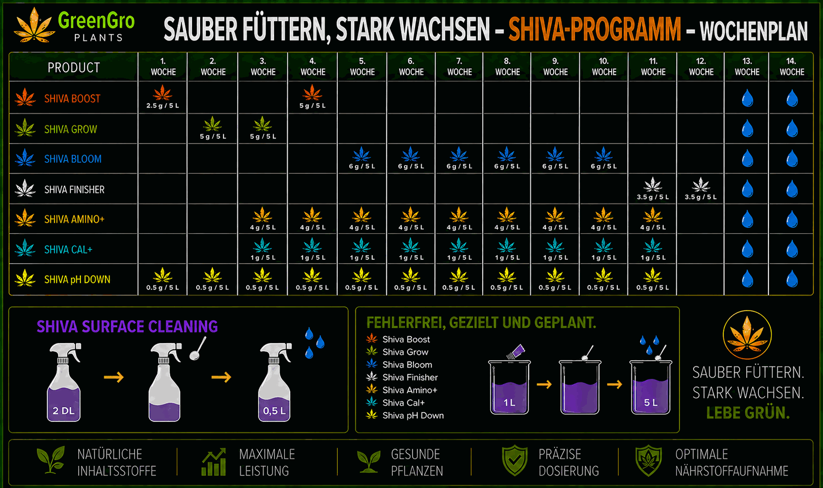 SHIVA-Programm Wochenplan