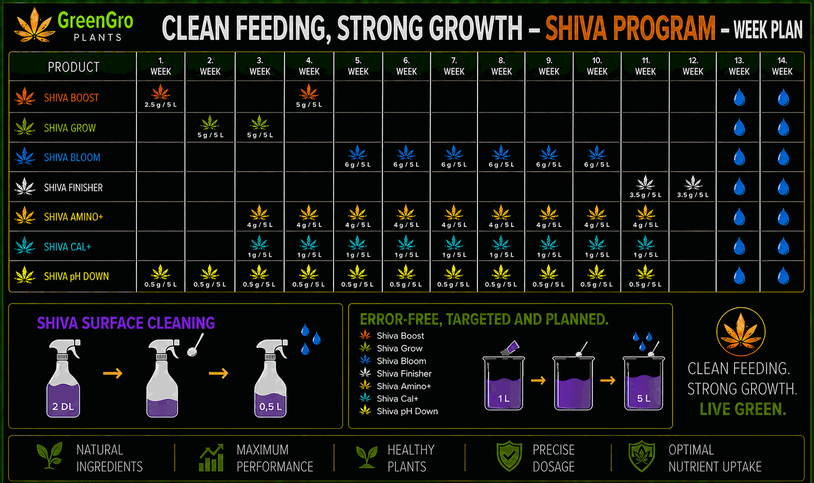 SHIVA programme weekly plan