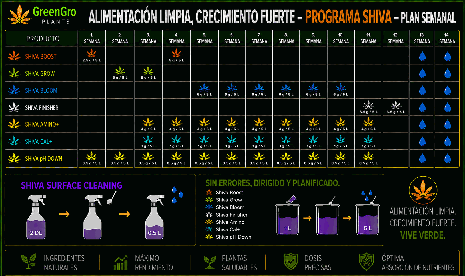 Plan semanal del programa SHIVA