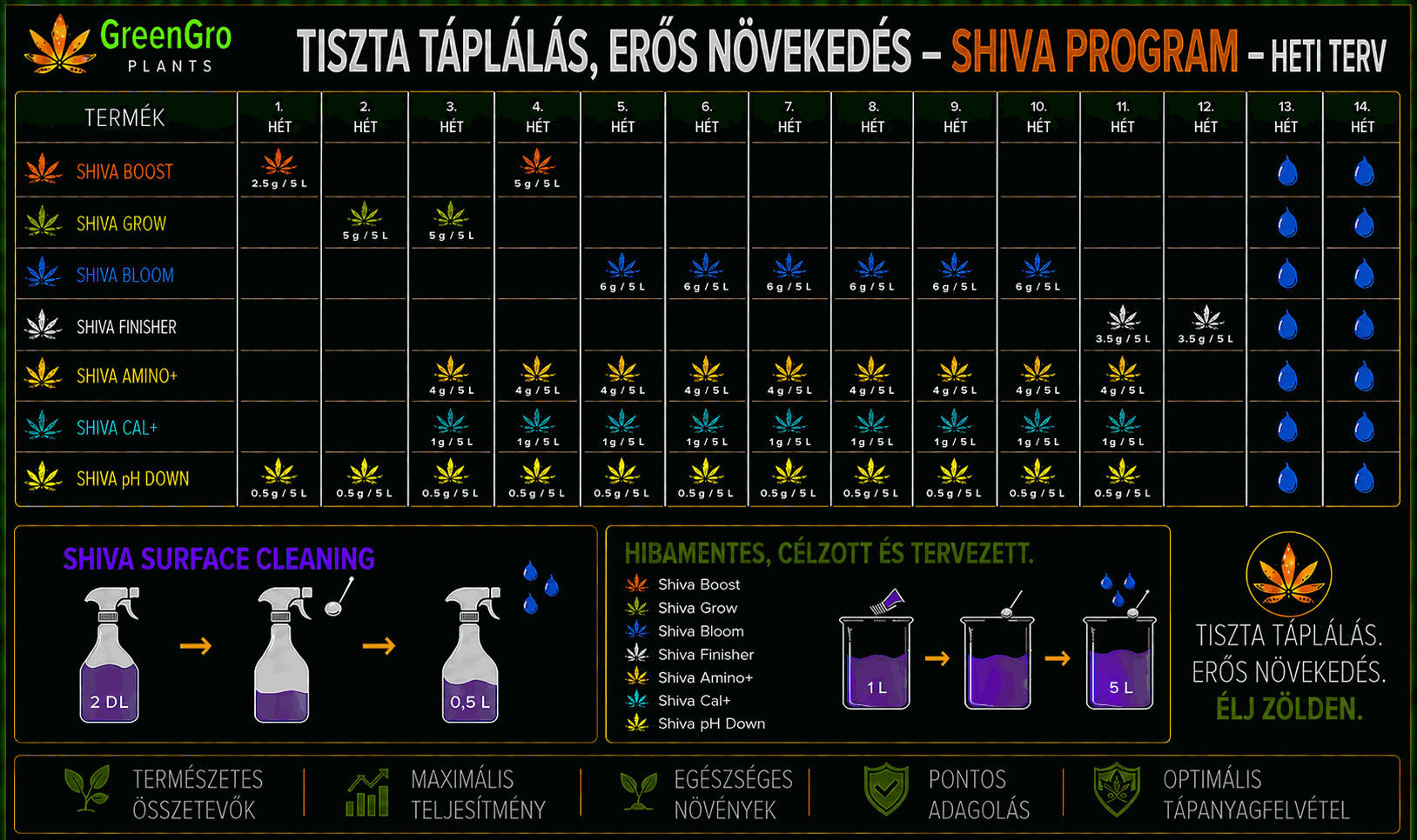 SHIVA-program heti terv