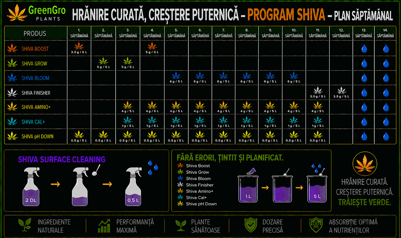 Plan săptămânal al programului SHIVA