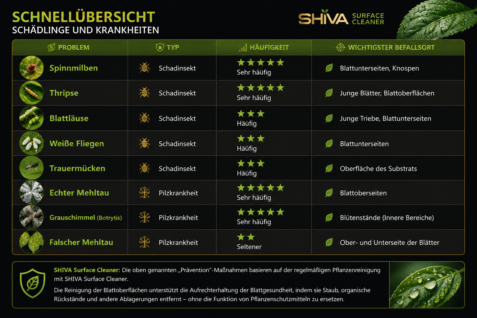 Kurzübersicht