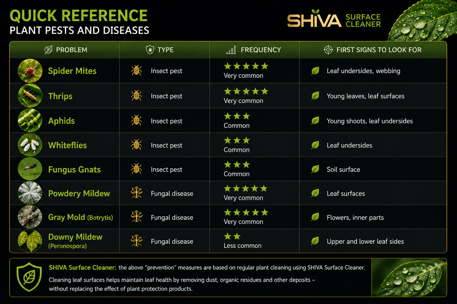 Summary Table