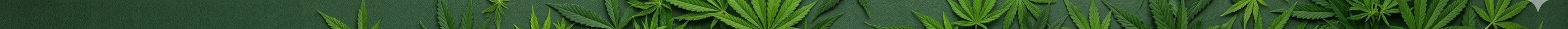 Cannabis