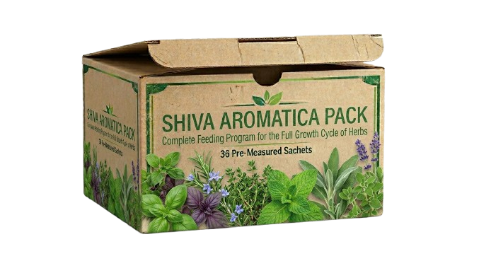 SHIVA Aromatica Pack