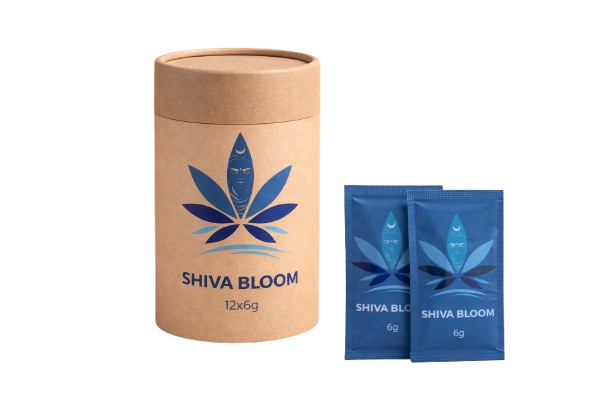 SHIVA BLOOM