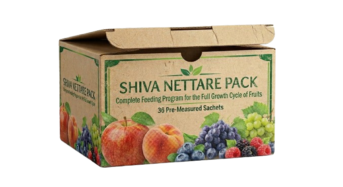 SHIVA Nettare Pack