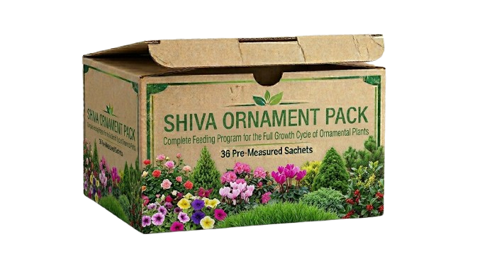 SHIVA Ornament Pack