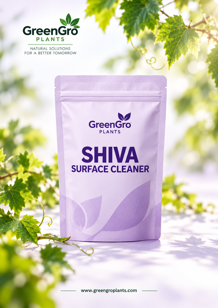 SHIVA Surface Cleaner – gewerbliche Anwender